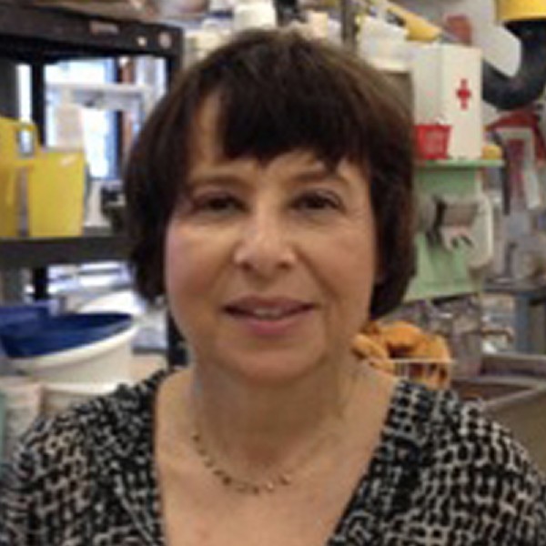 Corinne Felder