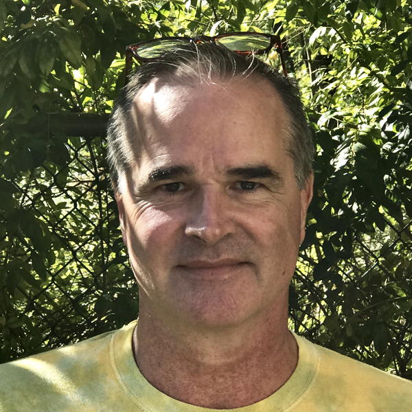David McLellan